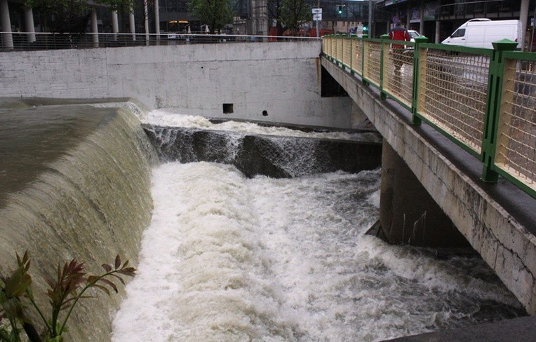 Białka w centrum Bielska-Białej w sobotnie popołudnie 17 maja