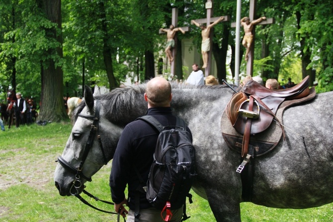 Jeźdźcy i zaprzęgi konne na pielgrzymce