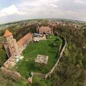 Zamek w Toszku 