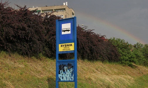 Rybnik pełny ciemnych typów