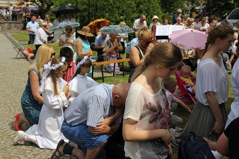 Odpust Nawiedzenia NMP w Świętej Lipce