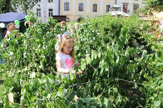 Misyjny Dzień Dziecka w Tarnowie 