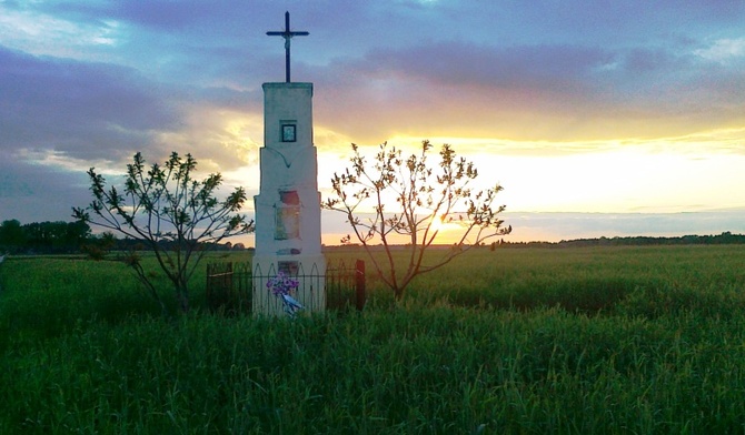 Kapliczka w zbożu na jednej z podłowickich wsi