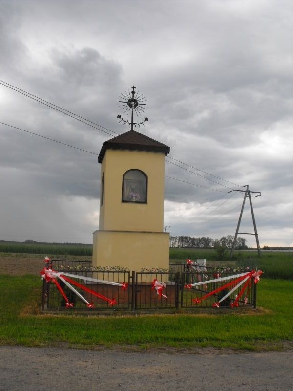 Kapliczki i krzyże z okolic Łowicza