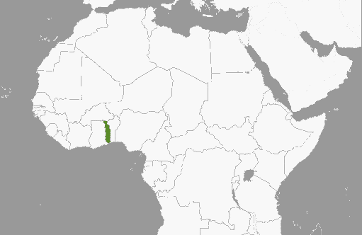 Togo: biskup mediatorem 