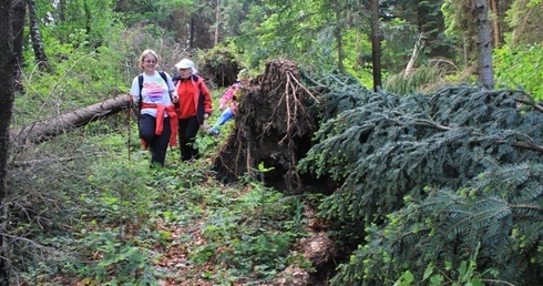 6. Franciszkański Rajd Kobiet - Śnieżnica 2014 cz. 2