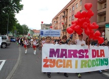 Tegorocznemu Marszowi dla Życia i Rodziny towarzyszyło hasło "Rodzina obywatelska. Rodzina - wspólnota - samorząd"