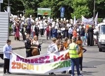 Wałeccy debiutanci