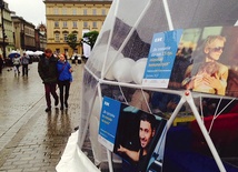 Przez kilka dni po krakowskim referendum niemal codziennie pojawiały się nowe pomysły na organizację ZIO