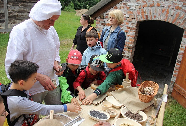 Ginące zawody