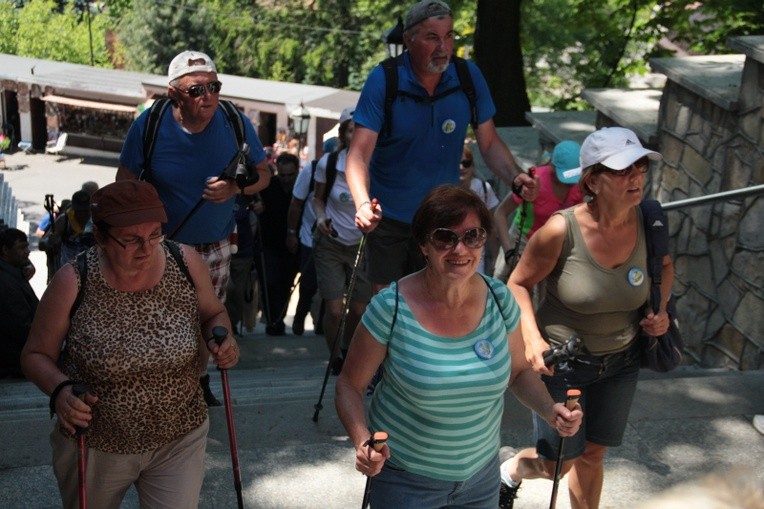 Piechurzy i rowerzyści