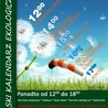 Światowy Dzień Wiatru w Śląskim Ogrodzie Botanicznym, Mikołów, 15 czerwca
