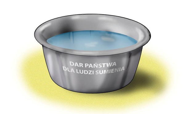 Deklaracja świadomości