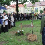 Dąb Pamięci st. post. Józefa Szarka w Oświęcimiu