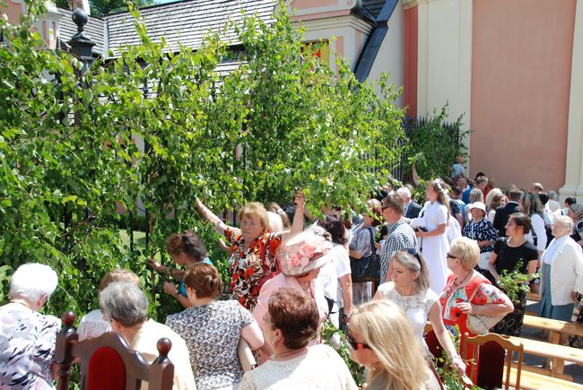 Boże Ciało w Sandomierzu