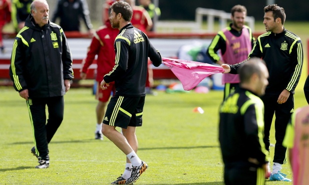 Del Bosque wyrzucił Fabregasa