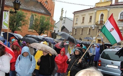 Pielgrzymka Węgrów