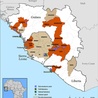 Epidemia Ebola: już pół tys. ofiar
