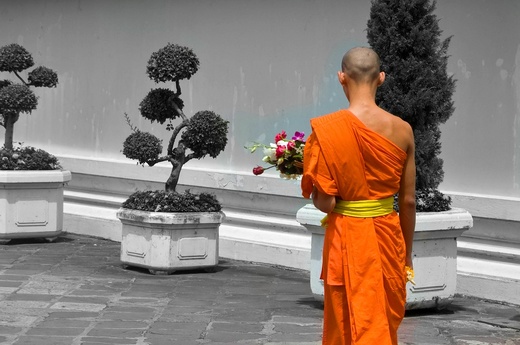 Buddyjski mnich