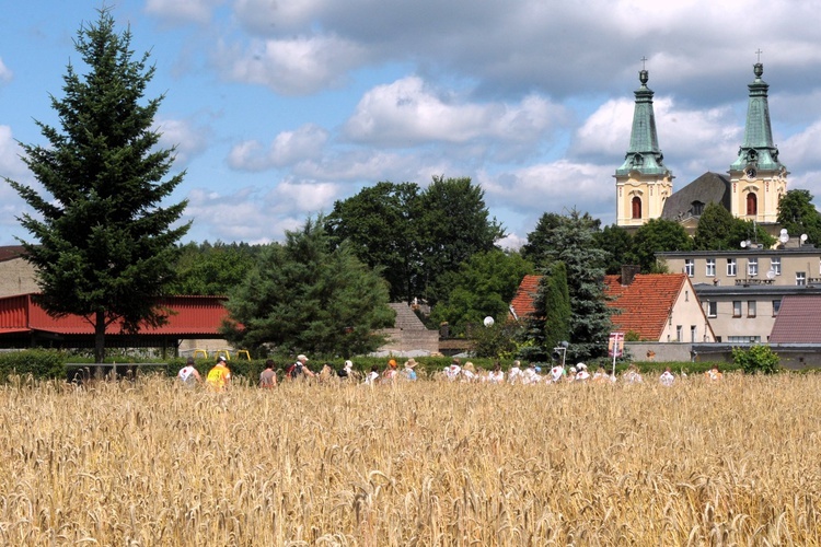 Do Rokitna - finał