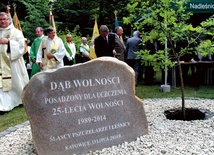 Dąb wolności zasadzili w czasie spotkania pszczelarze, leśnicy i księża