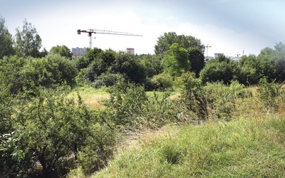  Miłośnicy tego zakątka Krakowa obawiają się, że dźwigi budowlane wkroczą także na tereny zielone