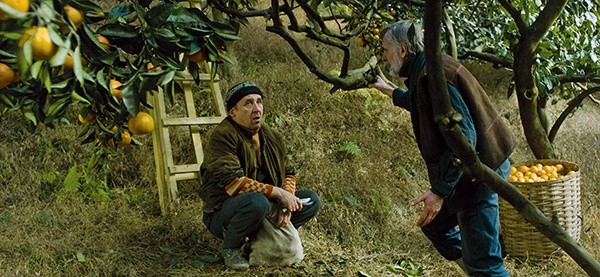 Markus (Elmo Nüganen) i Ivo (Lembit Ulfsak) pozostają neutralnymi obserwatorami toczącego się w Abchazji konfliktu do chwili, kiedy stają świadkami krwawej potyczki pomiędzy bojownikami wrogich oddziałów