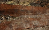 Prace archeologiczne pod posadzką bazyki pw. św. Jadwigi w Trzebnicy