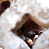 Miliony Sudańczyków potrzebują pomocy humanitarnej