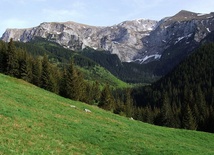 Tatry: Kobieta rażona piorunem