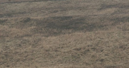 Porozumienie w spr. "Żelaznego Mostu"