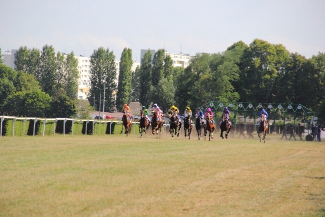 Wyścigi konne 2014