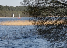 Na Mazurach kwitną sinice