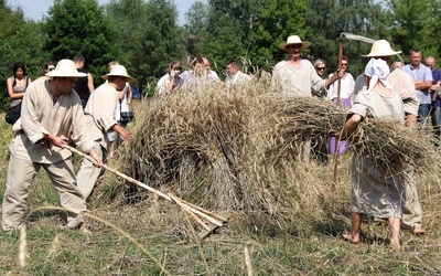 Obrzęd żniw w skansenie w Maurzycach