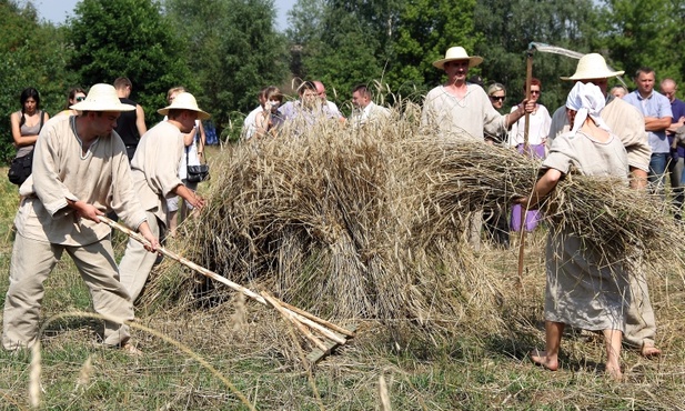 Obrzęd żniw w skansenie w Maurzycach