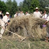 Obrzęd żniw w skansenie w Maurzycach