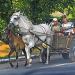 Mołdawia to jeden z biedniejszych krajów Europy, koni można jednak Mołdawianom pozazdrościć
