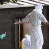 USA wyśle ekspertów w związku z ebolą