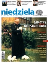 Niedziela 31/2014