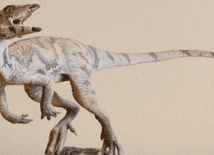 Dinozaur wielkości indyka