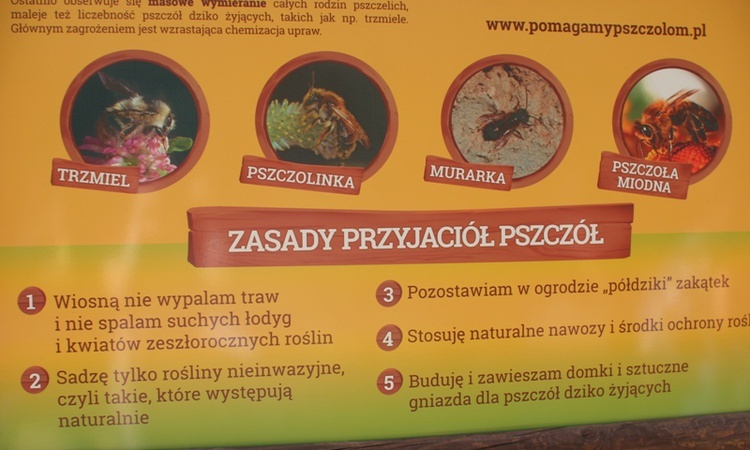 Wielki Dzień Pszczół w Mikołowie