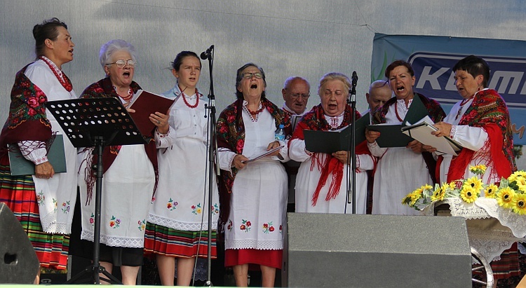 Piknik rodzinny w Świebodzinie