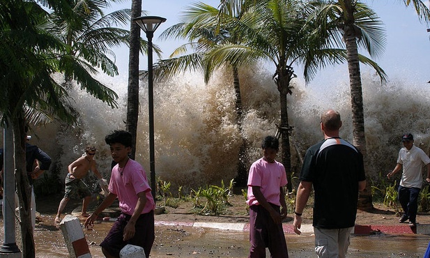 Ofiara tsunami odnalazła się po 10 latach