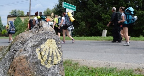 W głąb siebie szlakiem żółtych muszli
