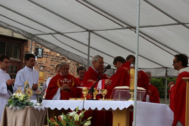 73. rocznica śmierci sw. Maksymiliana w Oświęcimiu