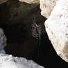 Ranny Polak wydobyty z jaskini
