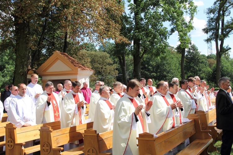 Koronacja obrazu Matki Bożej Suserskiej