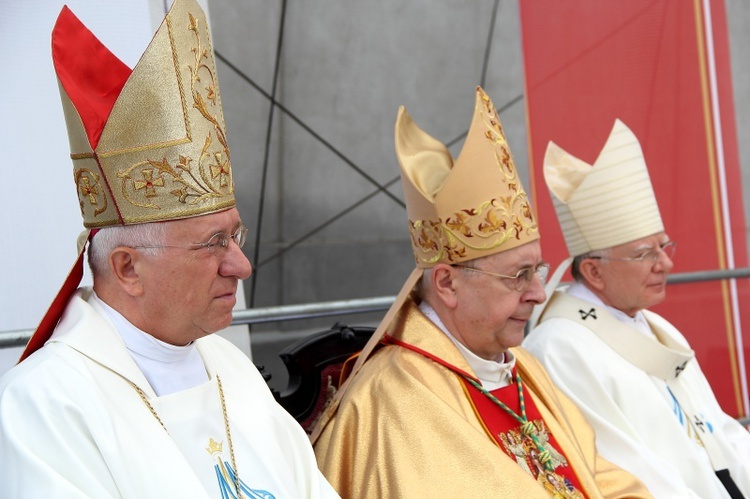 Koronacja obrazu Matki Bożej Suserskiej