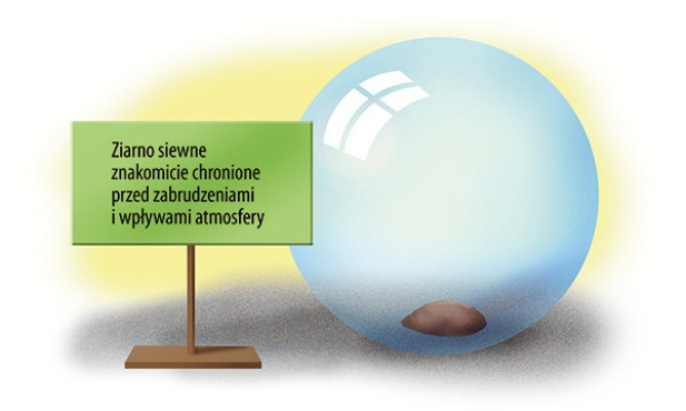 Ryzykuj albo giń