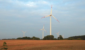 W jednej trzeciej skontrolowanych przypadków elektrownie wiatrowe lokalizowane były na prywatnych gruntach wójtów, radnych, burmistrzów czy pracowników gminy